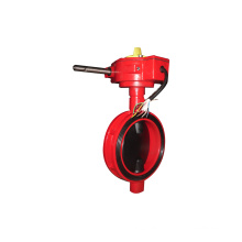 FM Approved 300psi Wafer Type Butterfly Valve